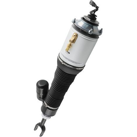 Front Air Suspension Strut Right For Bentley Continental GT 2003-2012 3W0616040