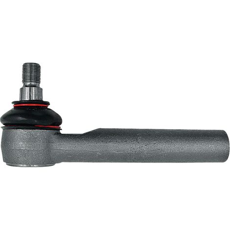 Giunto sferico 6000103324 Renault (1/2)