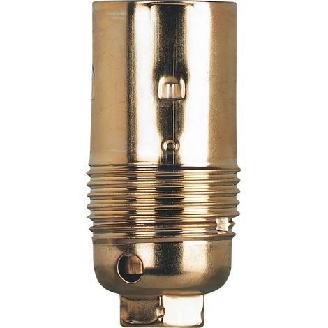 Legrand – Douille E14 en acier laitonné – Puissance 100W – Tension 230V – Fixation Ø10mm pour luminaires – Résistance à l'usure et corrosion (1/4)