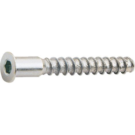 TORNILLO ENSAMBLAR 5X50MM PAV. 6U.EHS - EHLIS (1/2)