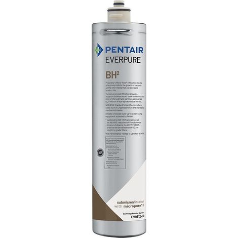 Filtro de agua Everpure BH² EV9612-51