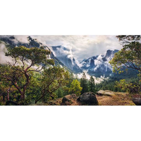 Papier peint panoramique naturel Paradis Unique (1/4)