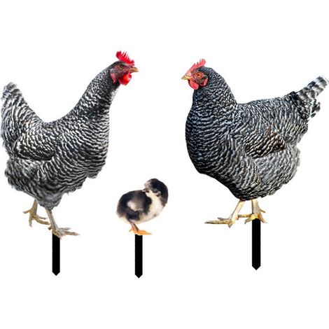 Coq Décoratif Piquet de Jardin Ornement Animal Poule Extérieur Décoration-2 (112 caractères)