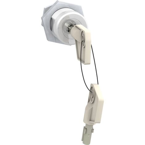 SERRURE PROFALUX KS5B24D4Z C801/1251-NS100/630-IN1000/2500 - 42888