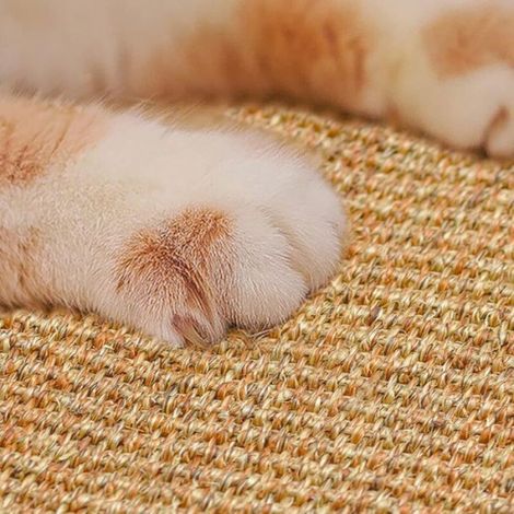 Tapis à griffer pour chat, tapis rectangulaire en sisal antidérapant et pratique (1/5)
