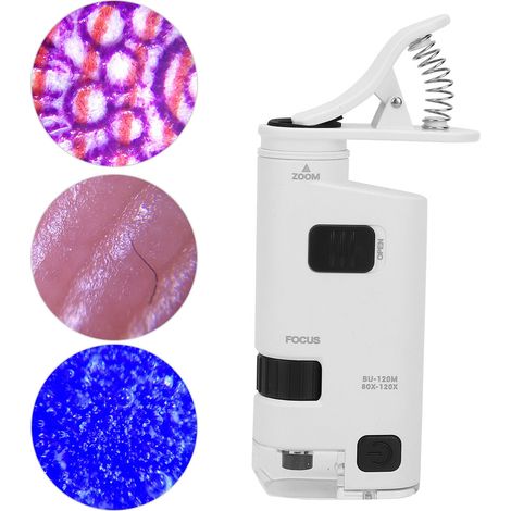 Microscope de Poche LED pour Smartphone, Zoom Ajustable 80-120X, Loupe Portable Mini (1/5)