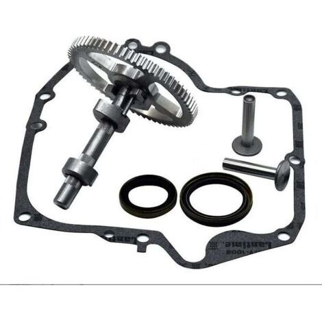 Pair Arbre à cames Briggs & Stratton 793880 Kit de remplacement avec joint d'huile 795387 Compatible moteurs 4 temps Haute qualité (1/4)