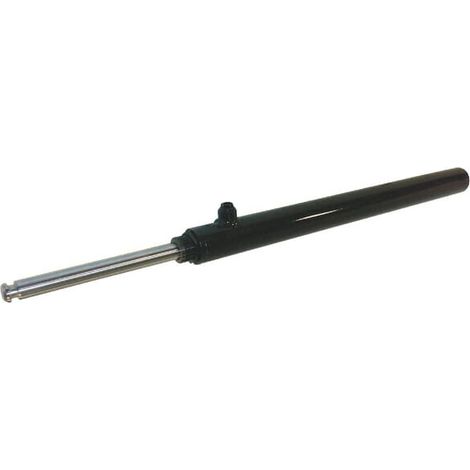 Vérin hydraulique MZ 8008901