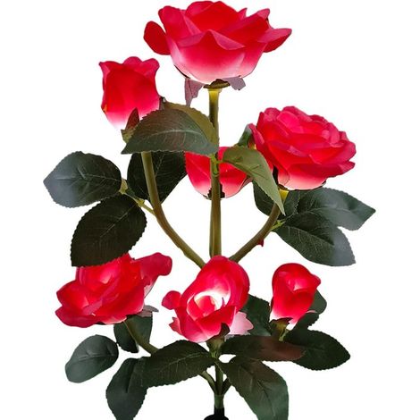 Lampe solaire de jardin ZVD Rose - Lampe solaire étanche à recharge automatique - Lampe LED d'extérieur (1/5)