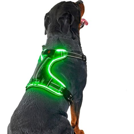 Harnais pour chien à LED, harnais lumineux rechargeable, harnais de poitrine réfléchissant anti-traction, rembourré, avec poignée, réglable pour chiens de petite, moyenne et grande taille (1/3)
