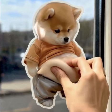 Pinza para la barriga de cachorro - 12 x 9 cm - Color de la imagen (1/4)
