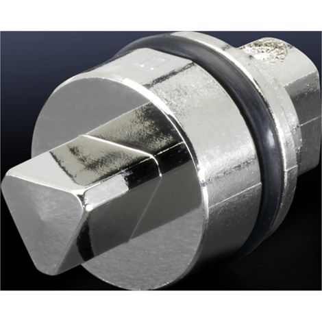 Rittal Verschlußeinsatz L=27mm 8mm Dreikant SZ 2463.000