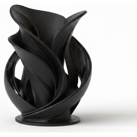 Vase décoratif noir sculptural en spirale pour fleurs séchées (1/3)