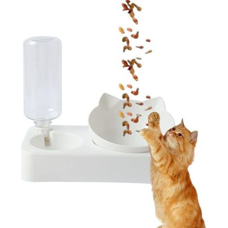 500ml Gamelles pour Chats, Inclinable à 15° Bol pour Chat, 2 en 1 Gamelles pour Chat, Ensemble De Bols pour Chat Et Chien De Petite Et Moyenne Taille (Blanc) (1/5)