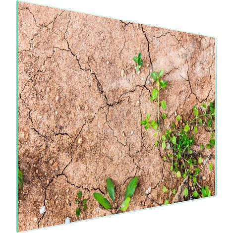 TABLA DE CORTAR DE VIDRIO 52x30 PLANTAS (1/5)