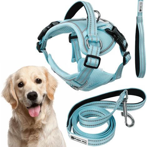 Leash and harness for a dog Tutumi PJ-066 Blue XL (1/5)