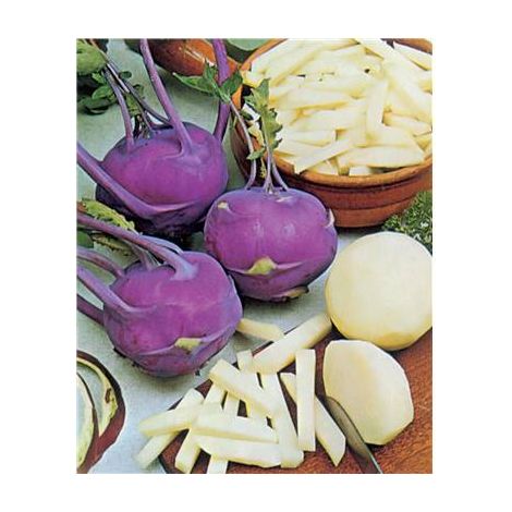 CHOU RAVE VIOLET DE VIENNE - 3 G