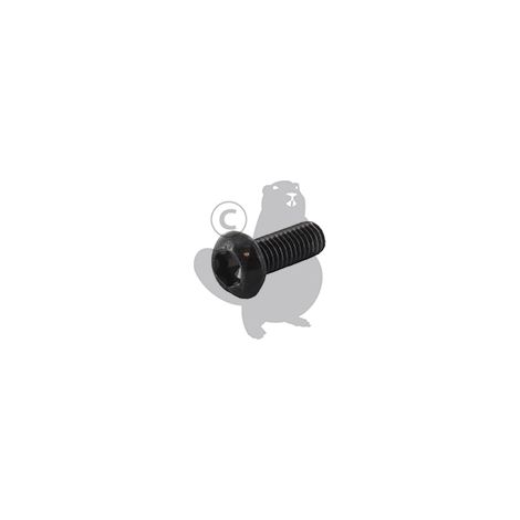 Vite testa Torx M6 x 15mm GGP - CASTELGARDEN 123878109/0