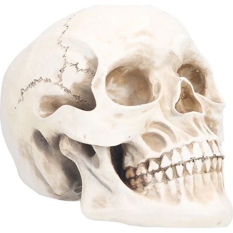 Crâne d'animal décoratif en résine, objet de décoration pour Halloween, idéal pour les fêtes à la maison. (1/5)