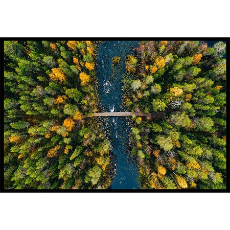 Affiche encadrée forêt d’automne vue du ciel (1/5)