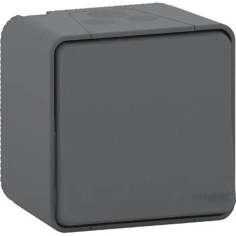 Pulsador MUREVA gris IP55 10 A 250 V AC para interiores y exteriores