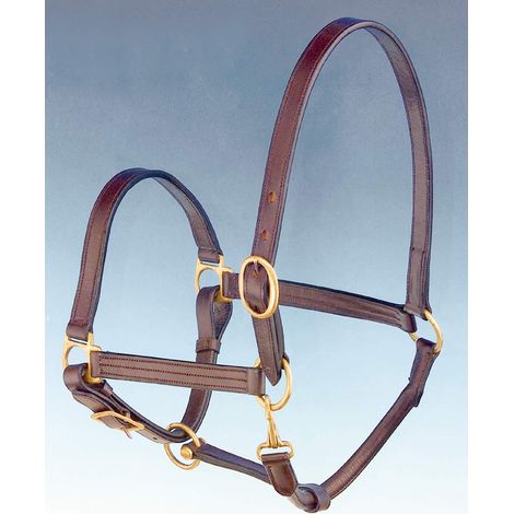 Full, chestnut rosso: Double licol en cuir avec boucles en laiton