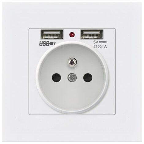 QORVA-Lot de 2 Prises Murales, Prise Electrique Murale avec Double USB 5V/2100mA, Prise Encastrable avec 2 Ports de USB Pratique et Manialble (1/5)