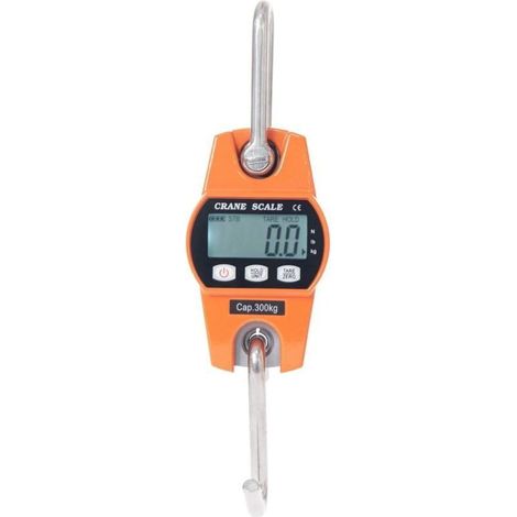 Balance Crochet - 300 Kg - Ecran LCD Retroeclaire - Precision OIML III - Usage Industriel (1/4)
