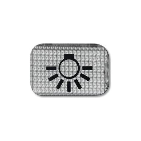 Busch-Jaeger 2145 LI Tastersymbol, transparent Licht (1/5)