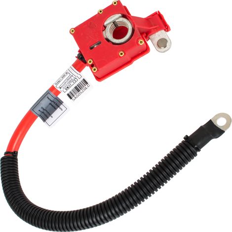 Terminal positivo de la bater铆a del BMW X5 E70 06-13 (1/2)