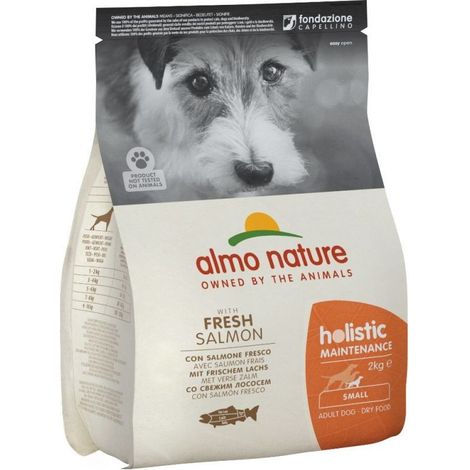 Almo Nature Cane Holistic Small Salmone & Riso 2 Kg