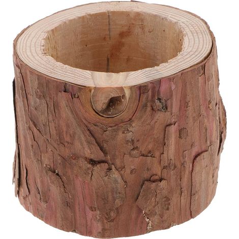 Souche D'arbre Vase à Fleurs En Bois Plantes Succulentes Bonsaï Pot Bougeoir M (1/5)