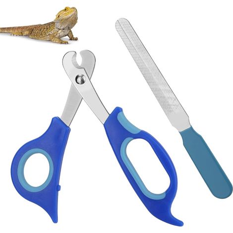 La lime et le coupe-ongles ING en acier inoxydable, adaptés aux petits reptiles tels que les dragons barbus, offrent une coupe sûre et précise. (1/5)