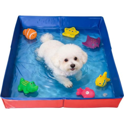 Piscine pour chien et chat - 50 x 50 x 10 cm - Pliable - Pour petits chiens, chats, animaux domestiques - Rouge (1/5)