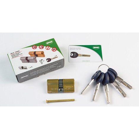 FPLUS bombillo amig mod.10000e 40-40 laton , 5 llaves con cabeza de plástico
6 pines / Muelles de acero inoxidable
Pasador antitaladro en cuerpo / 2 pasadores antitaladro en rotor