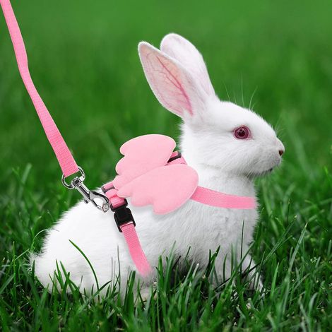 1 harnais et laisse réglable pour lapins, chatons, furets et autres petits animaux (rose) 1pc (1/3)