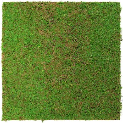 JANGAL Modular Wall Akustik 3D Paneele 520 x 520 mm Light Green Coconut Kunst Pflanzwand Naturfaser (1/5)