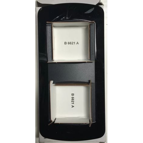 Bticino Cofrel 20775 - Placa NIQUEL - 2 X 2 Módulos ESPACIO 71