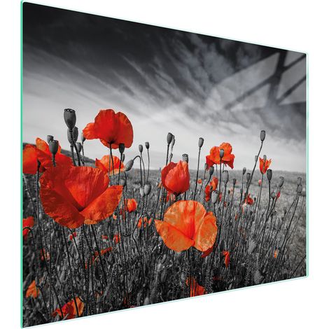TAGLIERE IN VETRO 52x40 MAKI (1/5)
