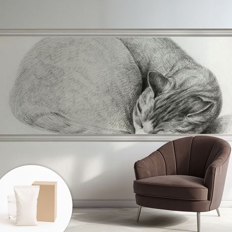 Papier peint intissé décoratif avec motifs pour salon et chambre a motif - Colle incluse gratuite Chat recroquevillé 250x104 cm (1/5)