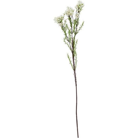 The Natural Garden Collection Waxflower (Single Stem Flower) - Plastic - Height 80 cm - White