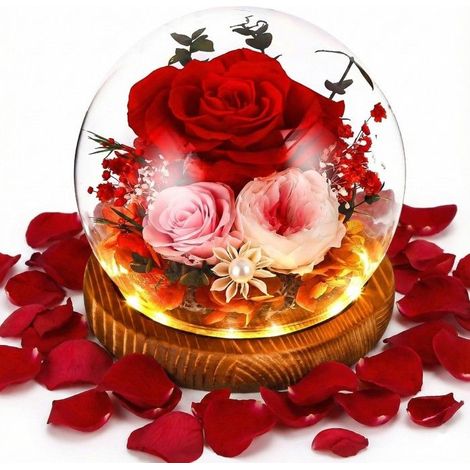Rose Eternelle Fleur Eternel, Rose Eternelle sous Cloche pour Femme Maman, Noel Saint Valentin Fete Anniversaire, Cadeau Coffret (1/5)