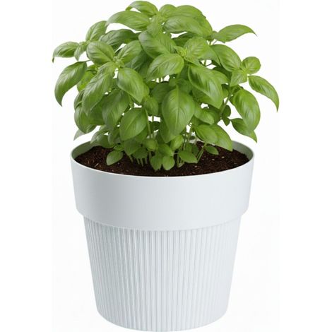 SILVA LINE Recycling-Blumentopf, weiß, H 17,4 x 20 cm