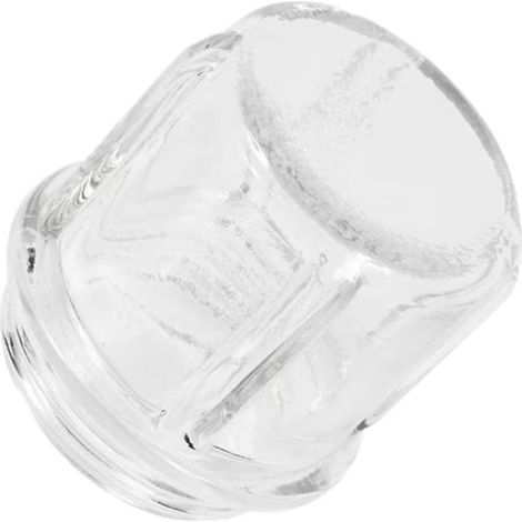 VERRE LAMPE DE FOUR T29/40W POUR FOUR A.E.G - 319256008 (1/3)