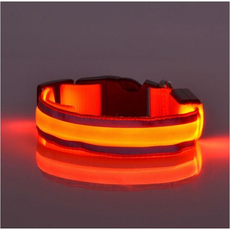 Collier Chien LED - Collier Sécurité Clignotant avec Bande Réglable en Nylon - Pour Chiens Petits à Grands - Orange - Taille M ou XL (1/5)