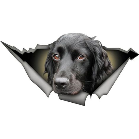 Adesivo Auto 3D Cane ha Rotto Decorativi - Decal Adesivo Impermeabile per parabrezza, a Parete e a Libro (1/5)