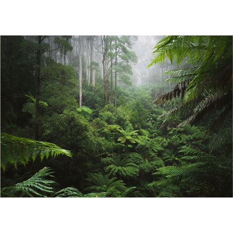 Papier peint avec motif forêt verte pour décorer les murs du salon – 250 x 175 cm Wallarena (1/4)