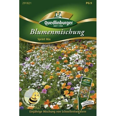 Quedlinburger Blumenmischung Sprint Mix - Blumensamen