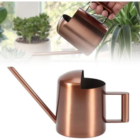 300ml Indoor Plant Watering Can - Mini Watering Can: Stainless Steel Watering Can with Long Metal Neck - Small Garden Watering Can for Potted Plants/Hanging Plants in Home and Garden (1/5)