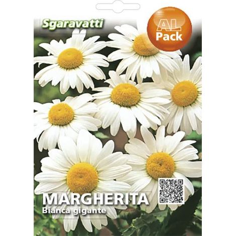 Semi per Prato Universale Margherita Sgaravatti Bianca Gigante 20 Pezzi
